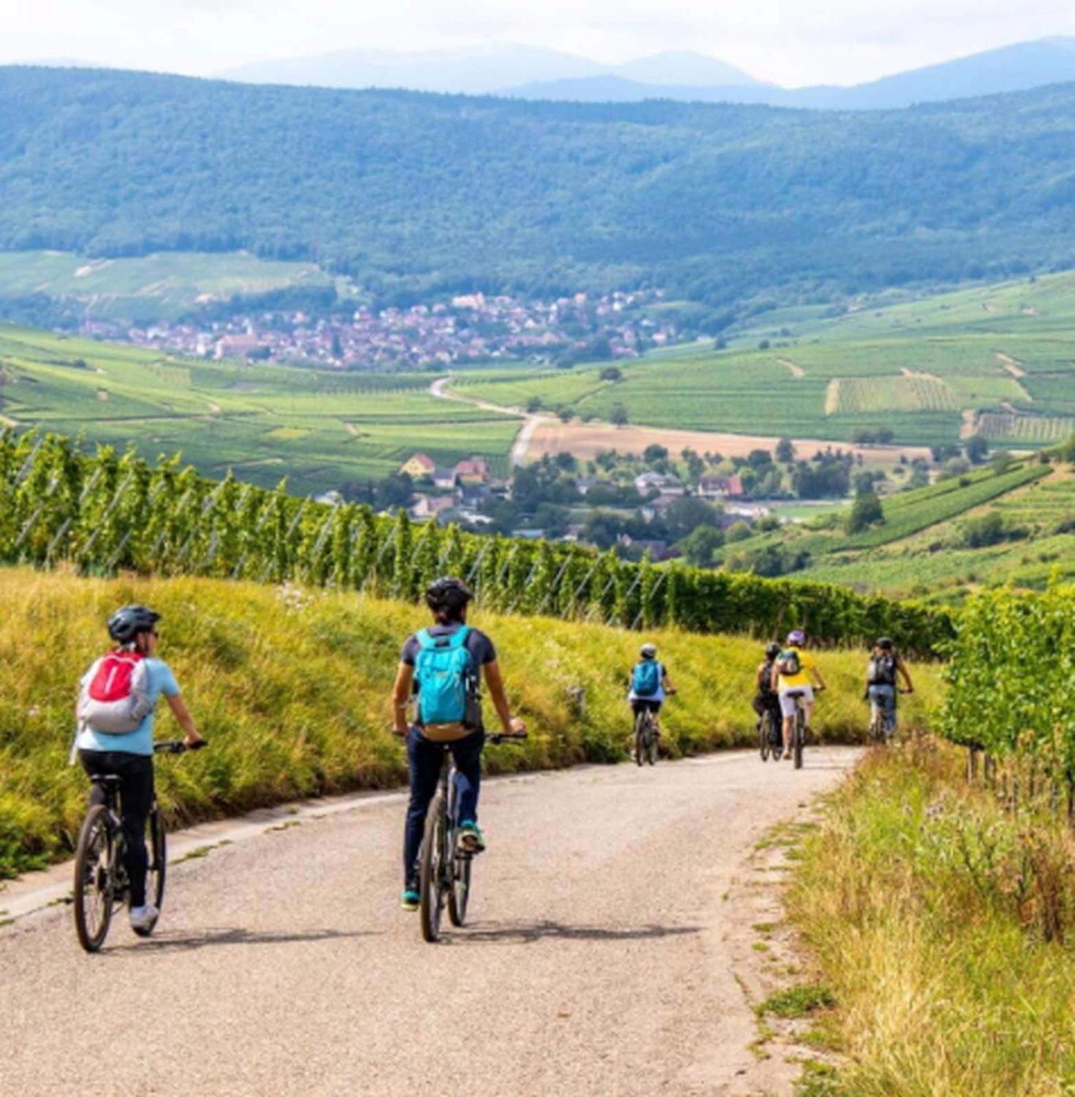 B&B Chez L'Habitant Chambre Privative Sur La Route Des Vins Tv Parking Box Velo Issenheim ภายนอก รูปภาพ